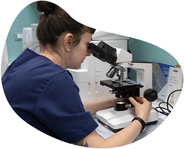 arca-reale-clinica-veterinaria-torino-venaria-laboratorio-analisi