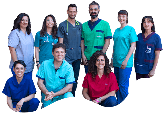 Équipe - Arca Reale Clinica Veterinaria a Venaria, Torino